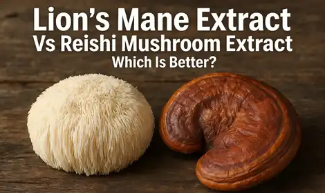 Lion's Mane Extract Vs Reishi Mushroom Extract: Which Is Better?
